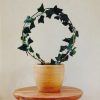 Ivy Topiary Wire Circle - display